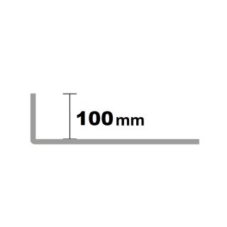 LX DRAIN Edelstahl V2A naturglanz 100x120x2500mm
